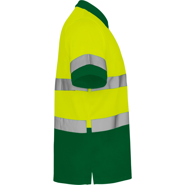 ROLY AV POLO POLARIS