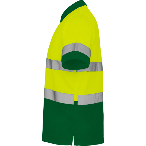 ROLY AV POLO POLARIS