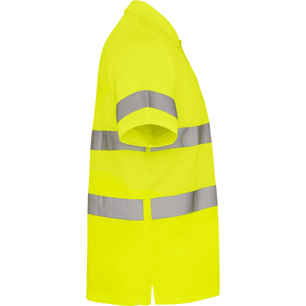 ROLY AV POLO POLARIS