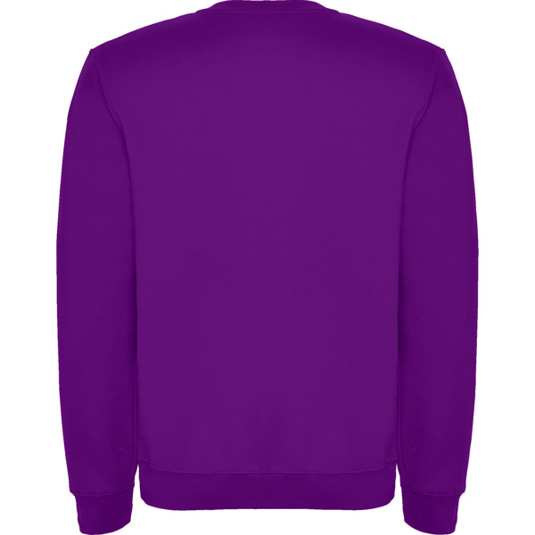 ROLY SUDADERA CLASICA T/11/12 ROSETON