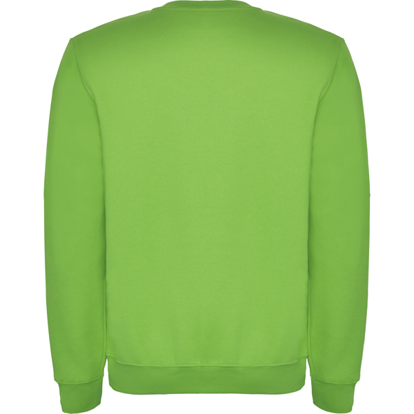 ROLY SUDADERA CLASICA T/11/12 ROSETON