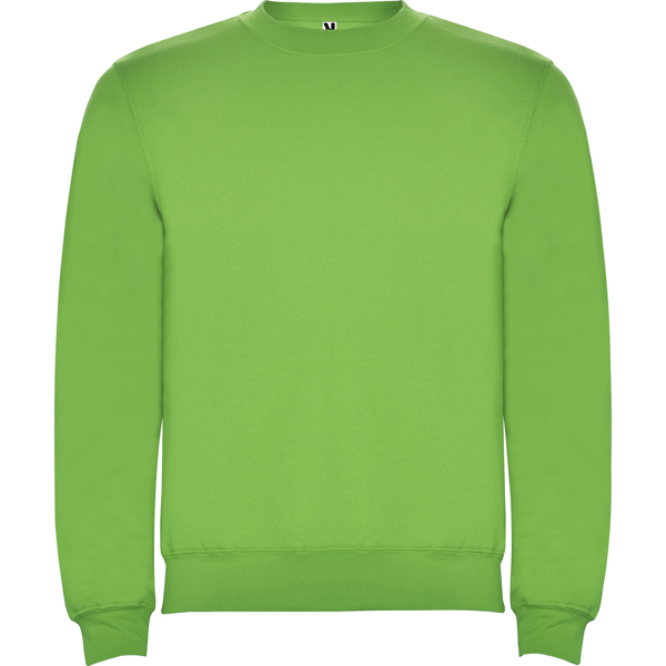 ROLY SUDADERA CLASICA T/11/12 ROSETON