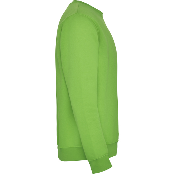 ROLY SUDADERA CLASICA T/11/12 ROSETON