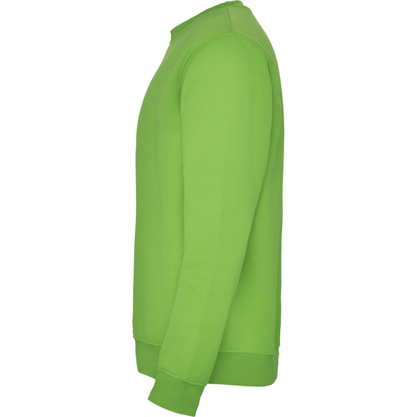 ROLY SUDADERA CLASICA T/11/12 ROSETON