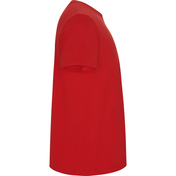 ROLY CAMISETA STAFFORD