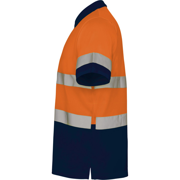 ROLY AV POLO POLARIS