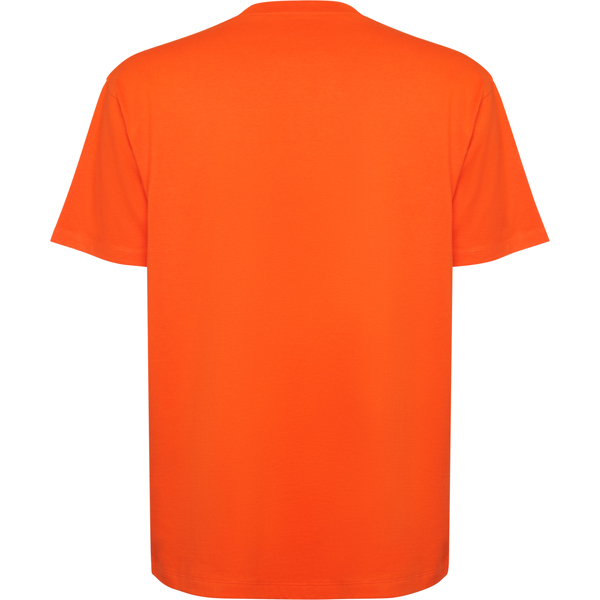ROLY CAMISETA BULL