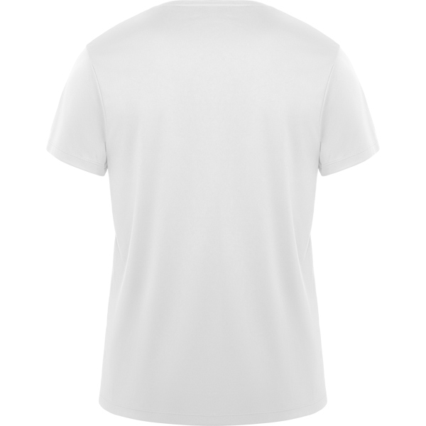 ROLY CAMISETA DAYTONA 