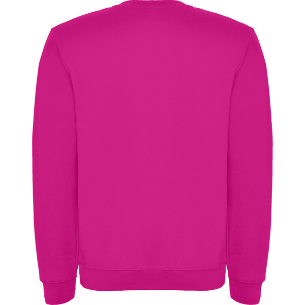 ROLY SUDADERA CLASICA T/11/12 ROSETON