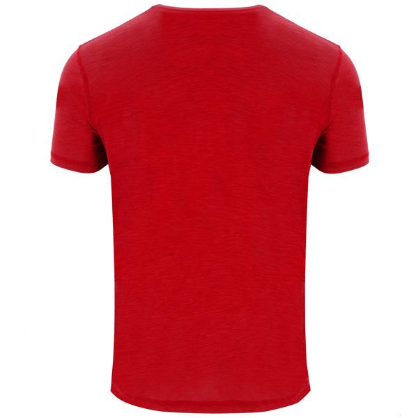 ROLY CAMISETA TERRIER 