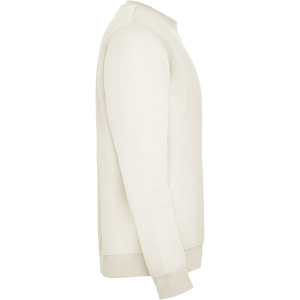ROLY SUDADERA CLASICA T/11/12 ROSETON