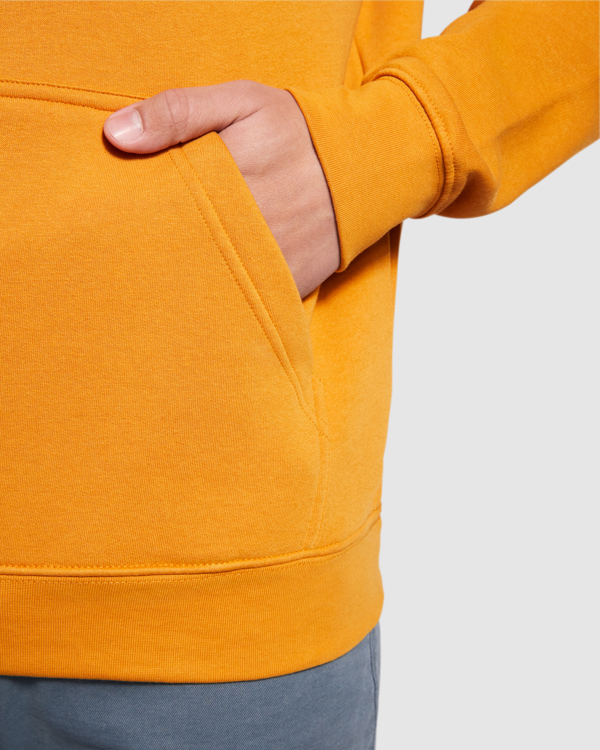 ROLY SUDADERA CAPUCHA T/3/4 ROSETON