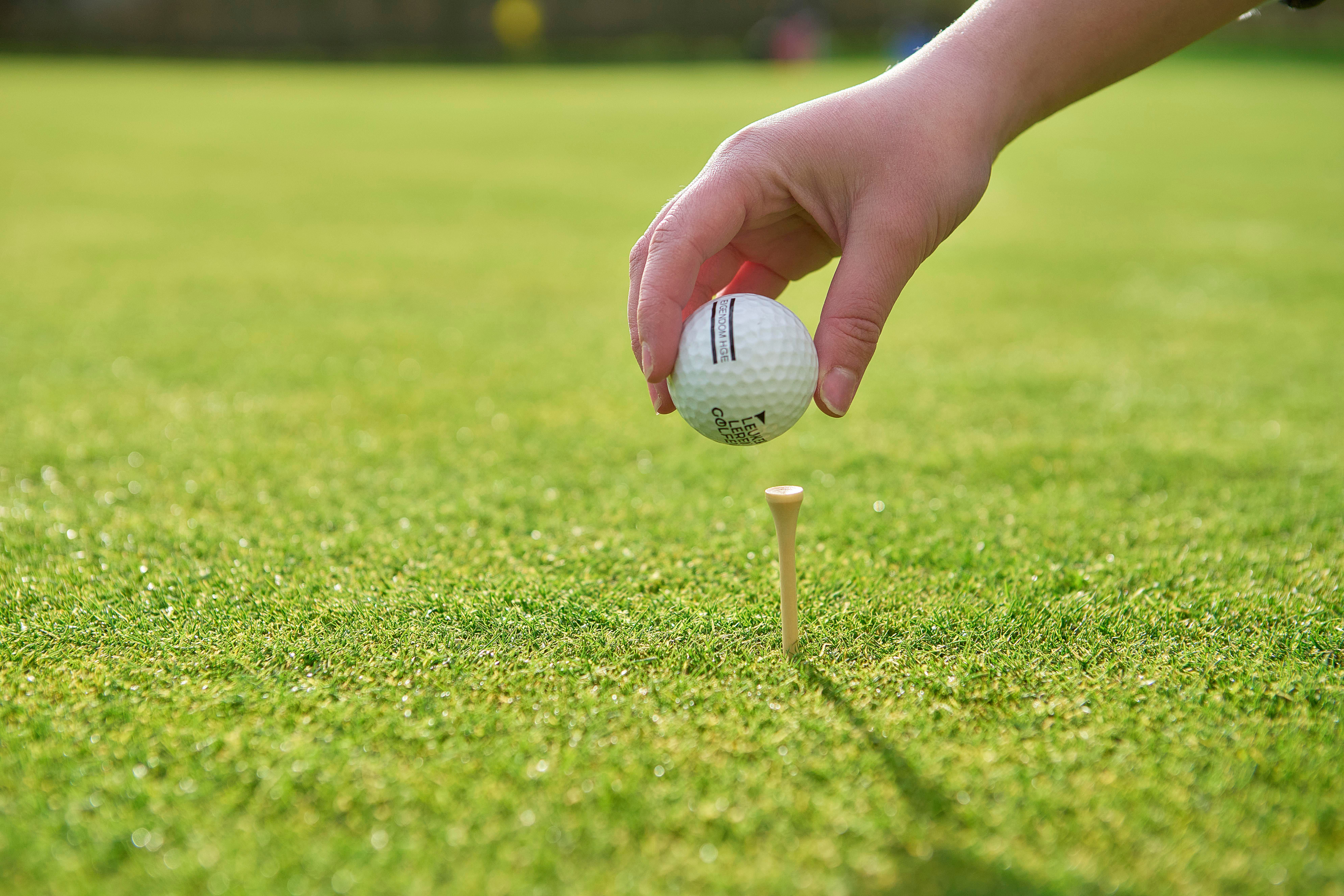 Wooden golf tees Nyssa