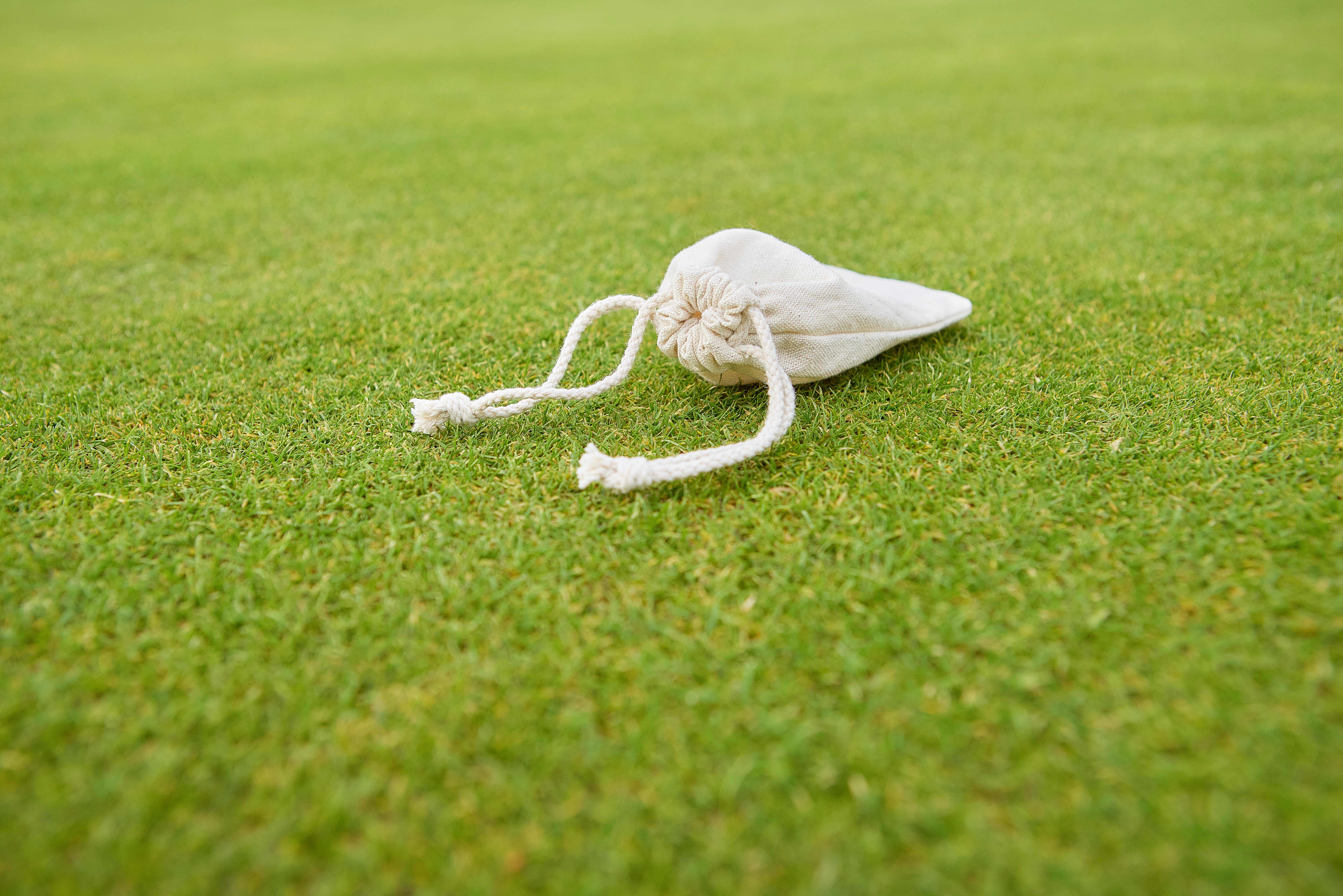 Wooden golf tees Nyssa