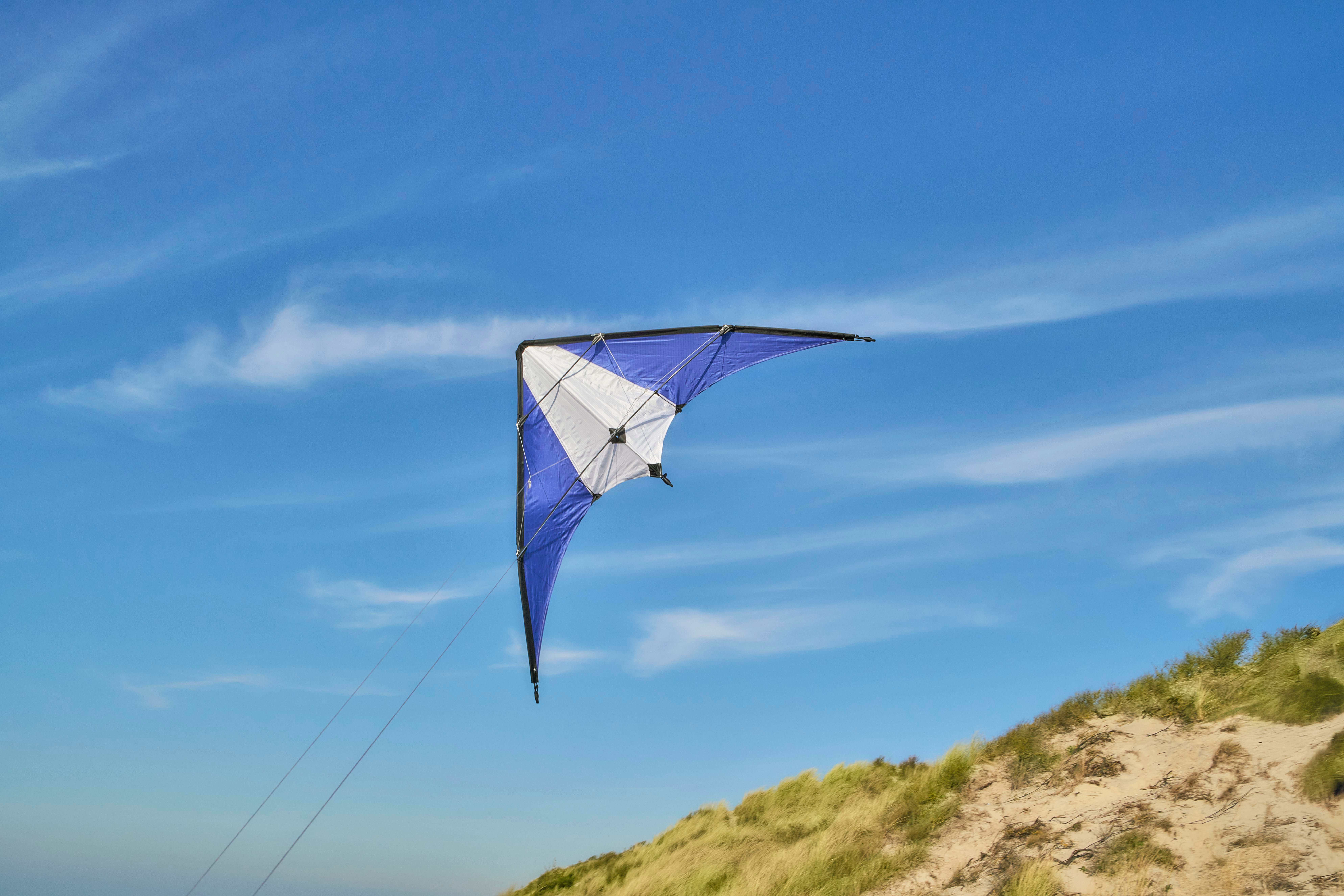 Polyester (210T) delta kite Lirien