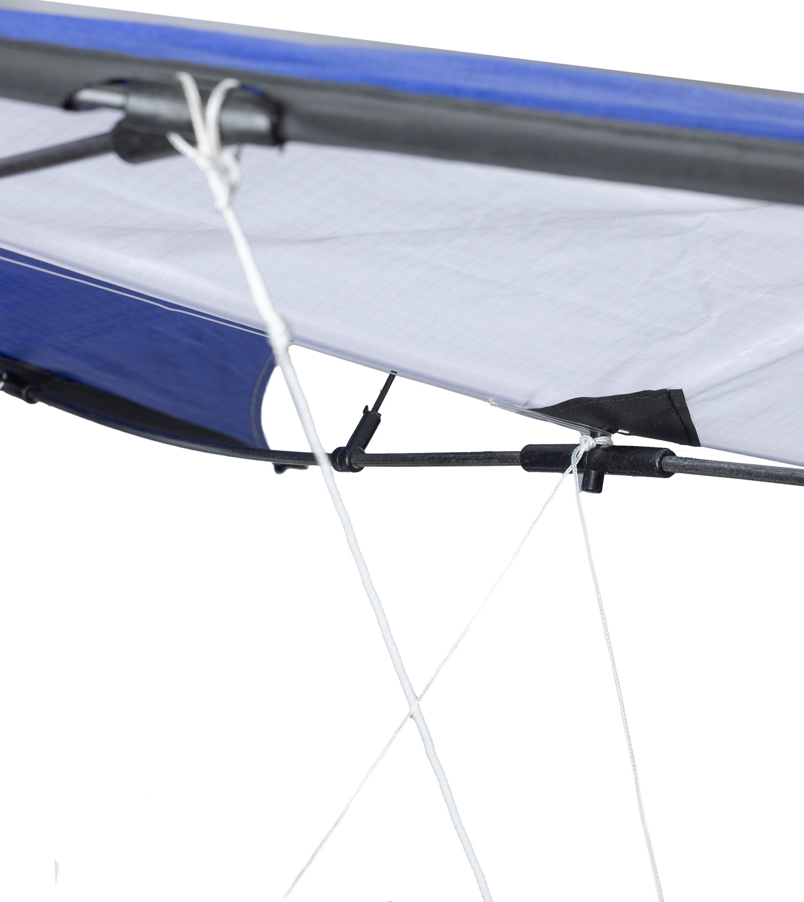 Polyester (210T) delta kite Lirien