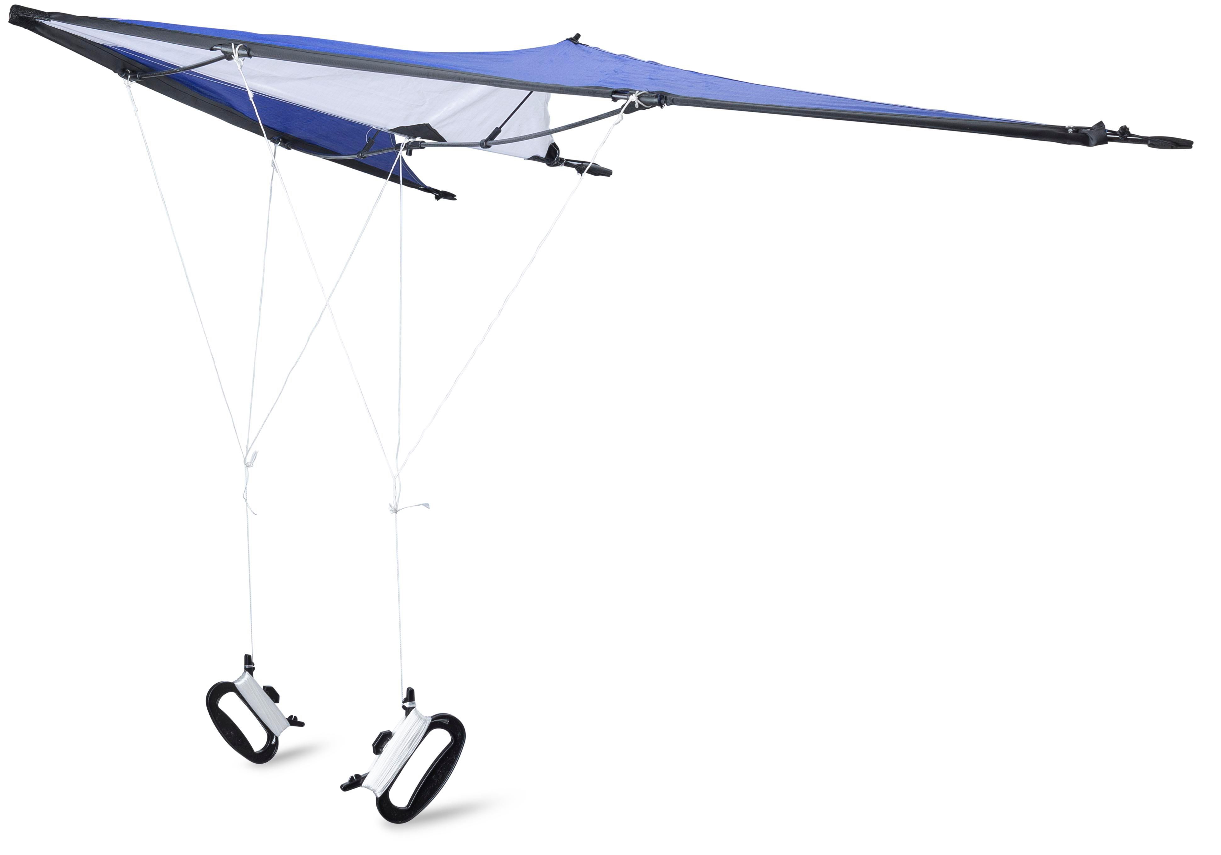 Polyester (210T) delta kite Lirien