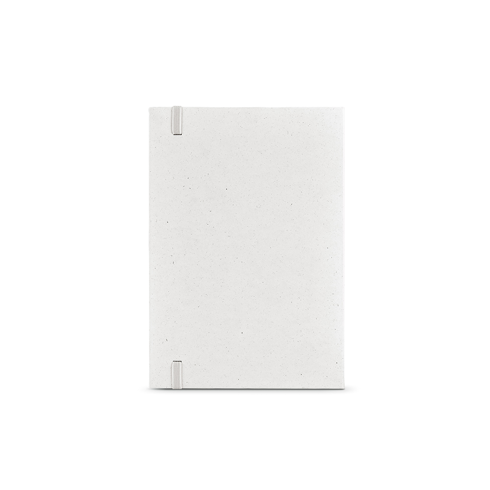 Hugo Notebook