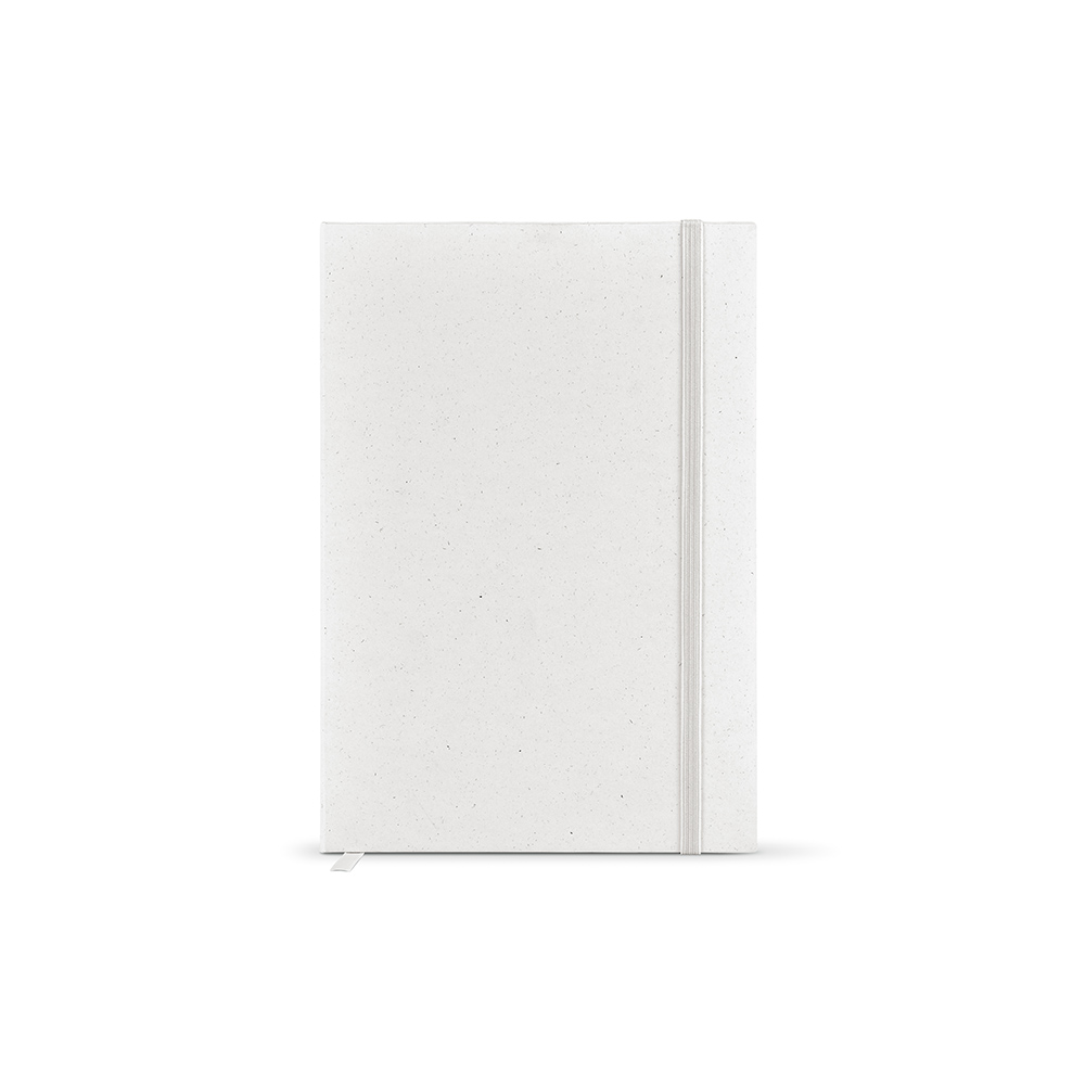 Hugo Notebook