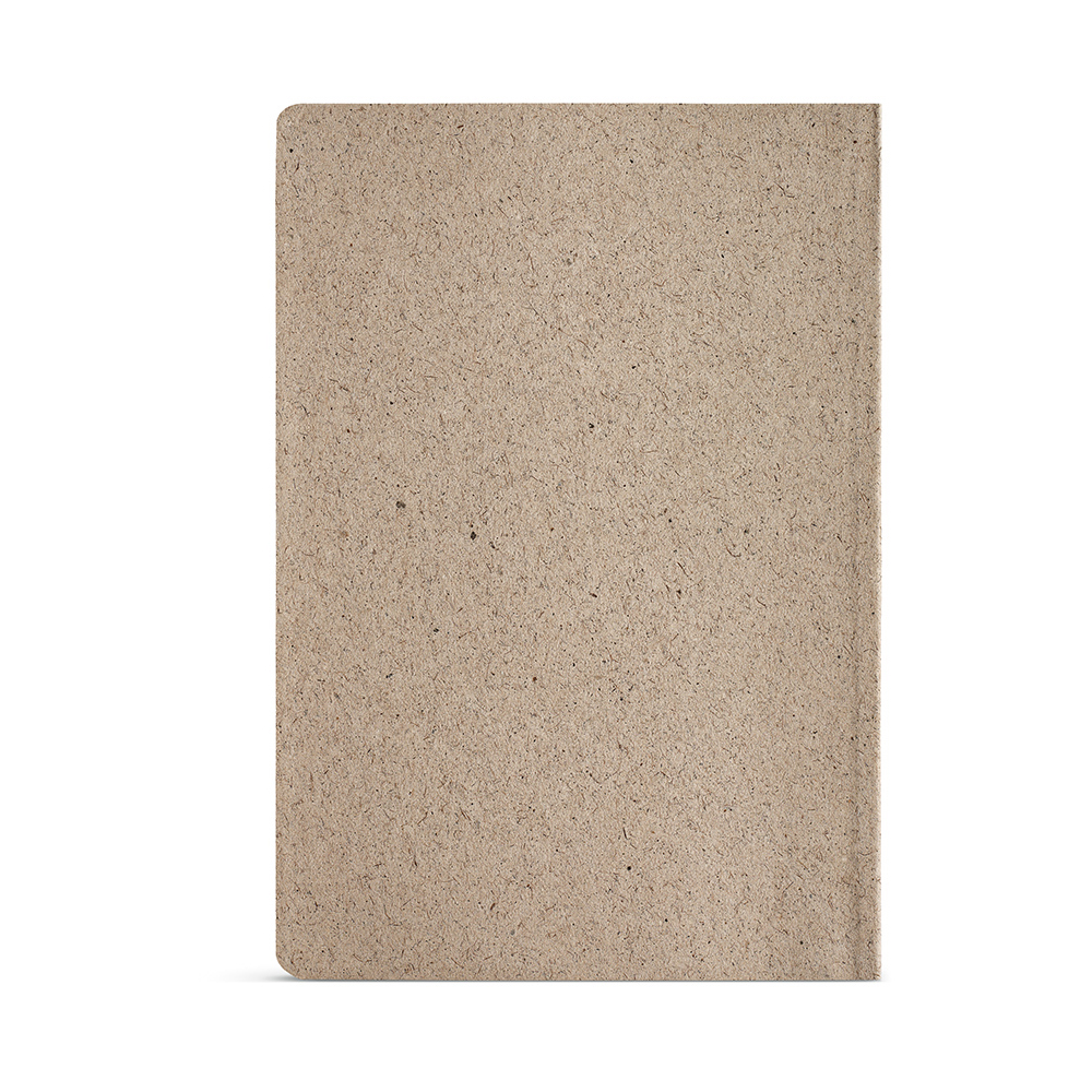 Checkhov Notebook