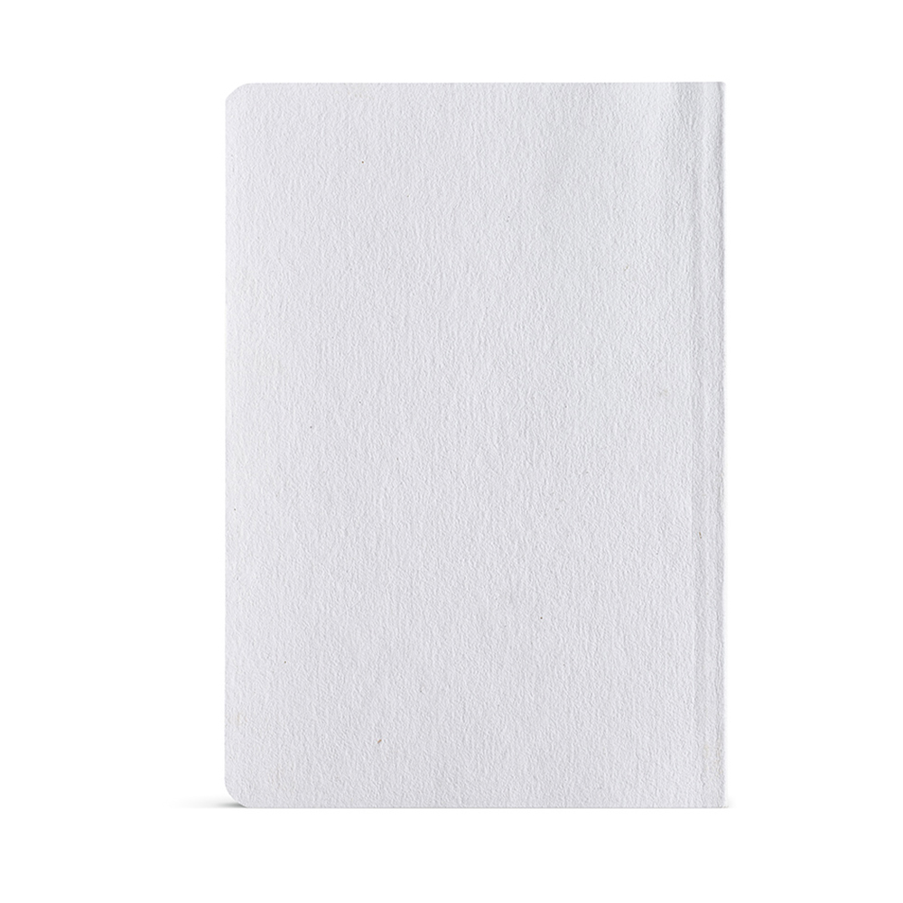 Verne Notebook