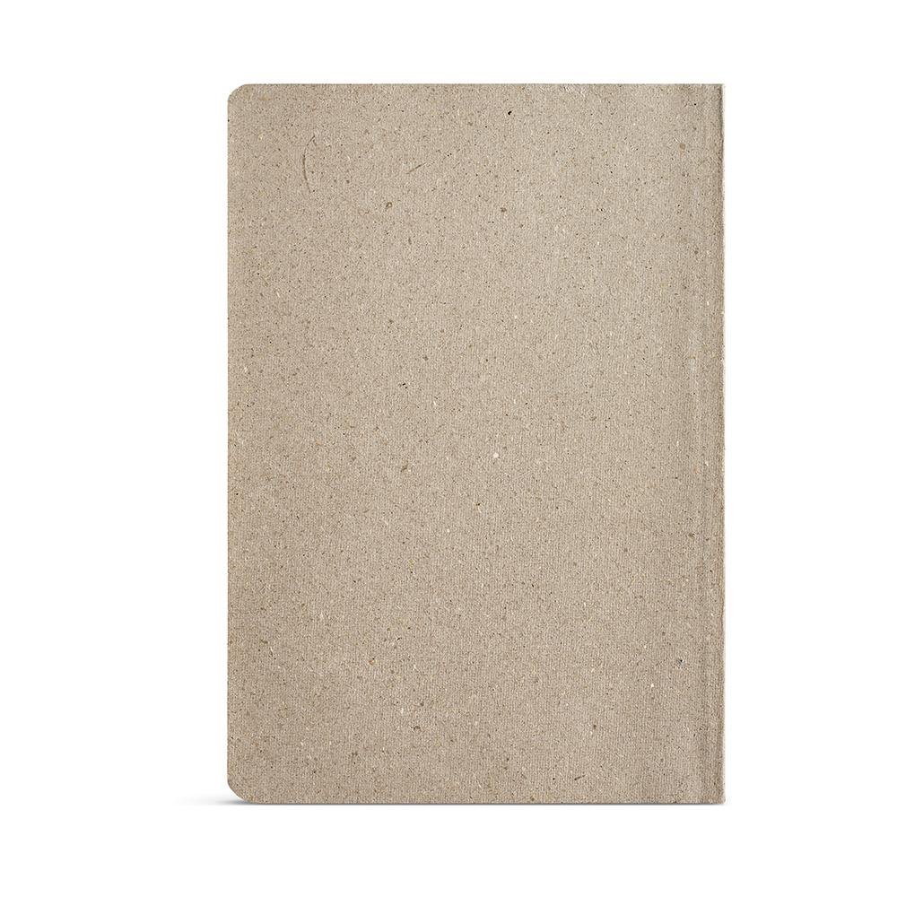 Poe Notebook