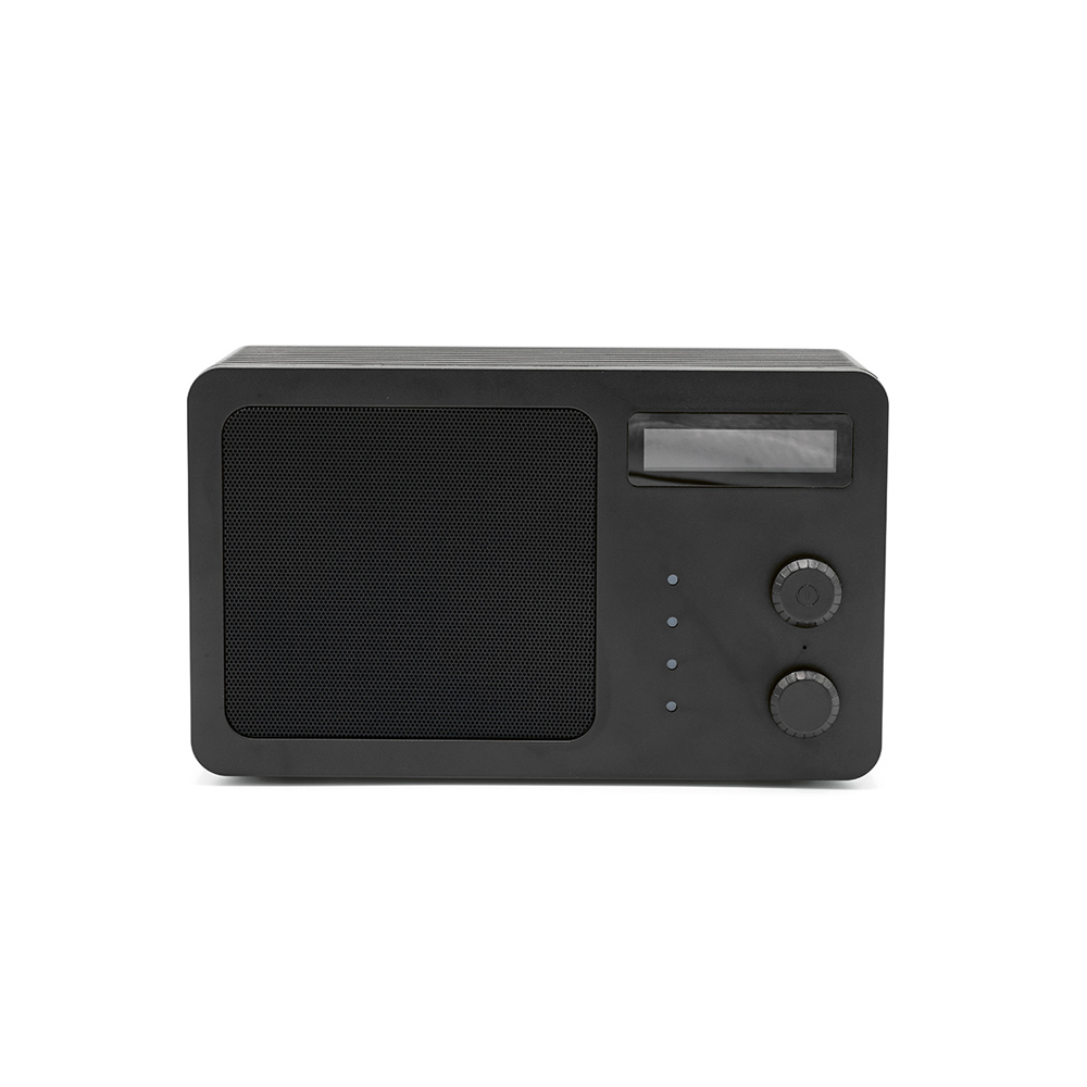 Soundview Speaker