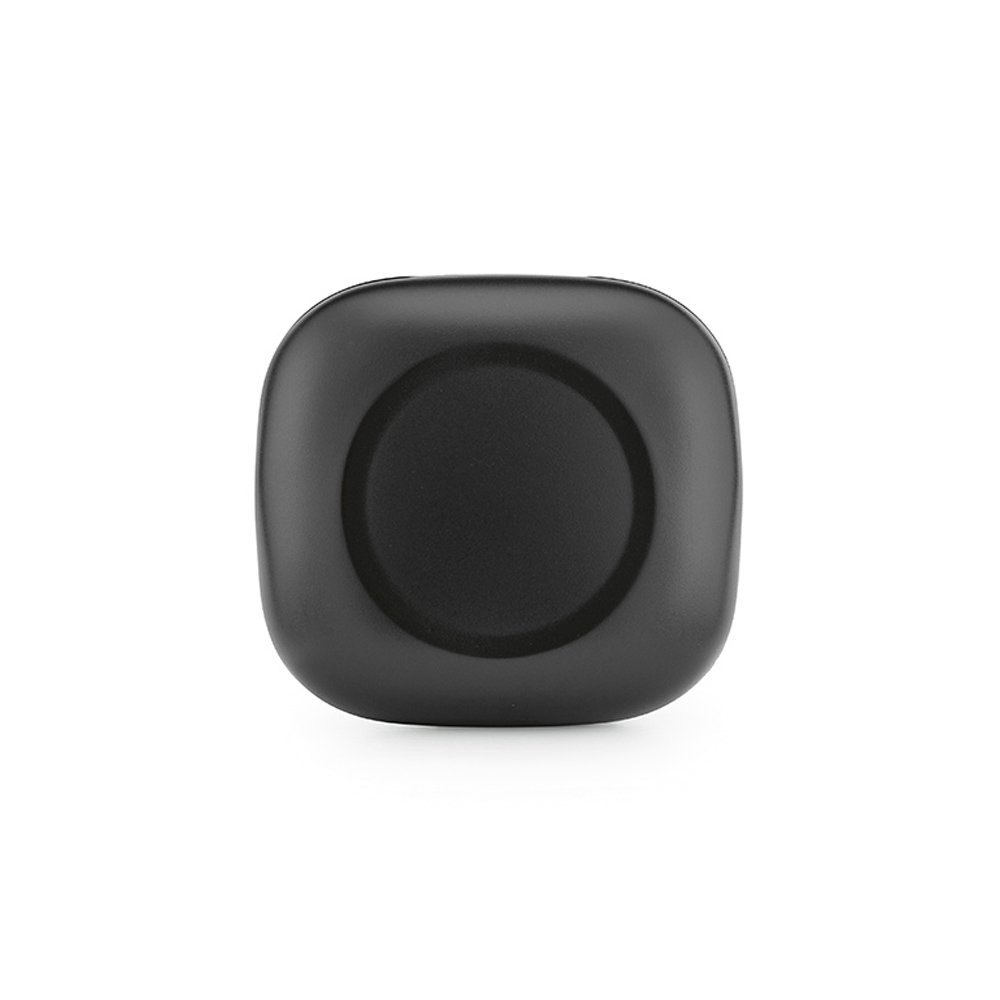 Chadwik Earbuds