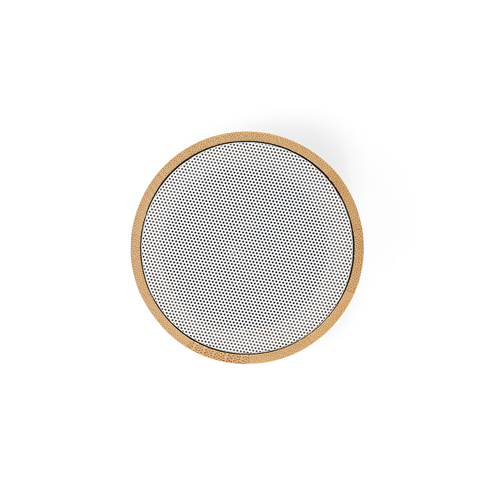 Einstein Speaker