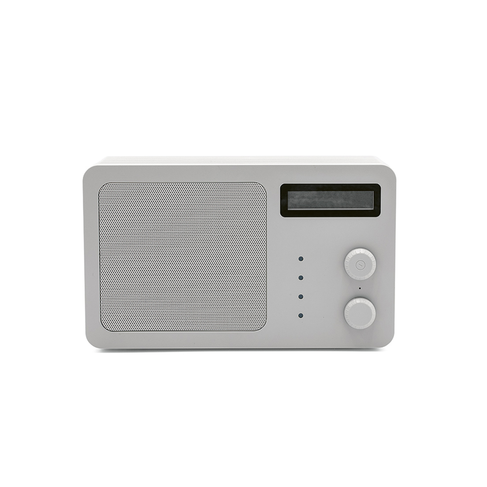 Soundview Speaker