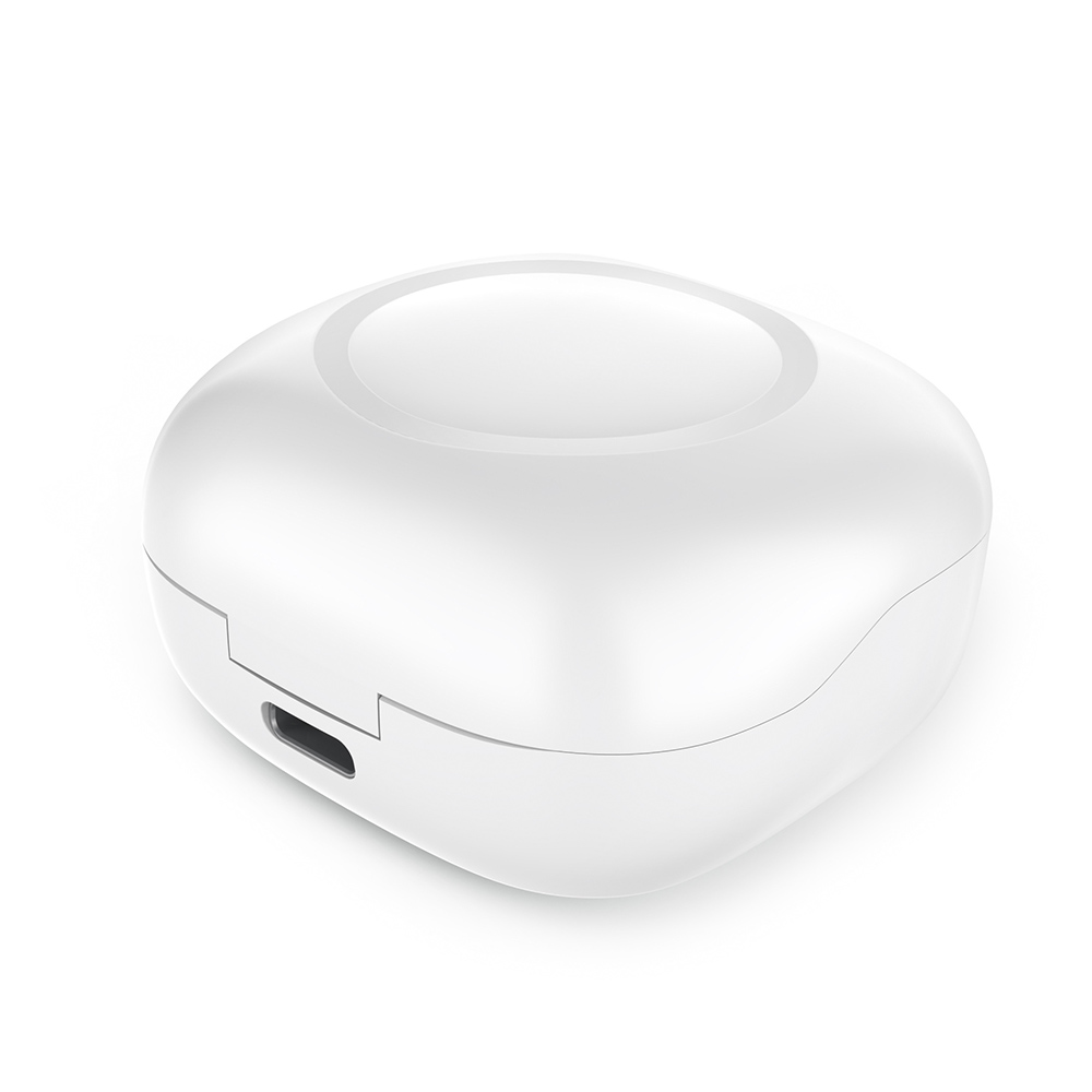Chadwik Earbuds