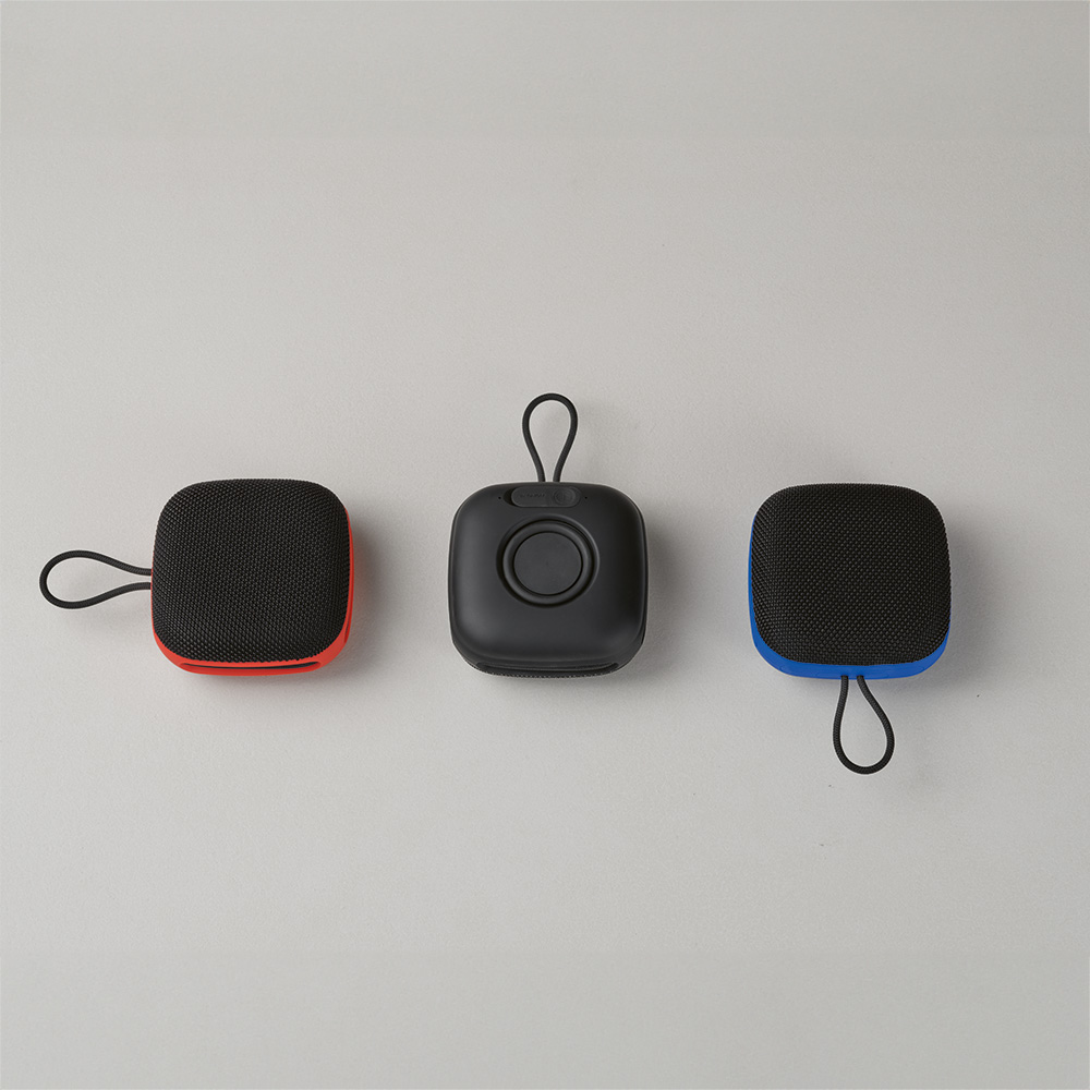 Da Vinci Speaker