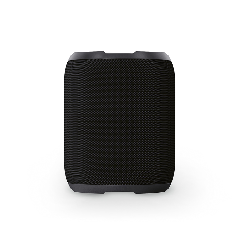 Avicenna Speaker