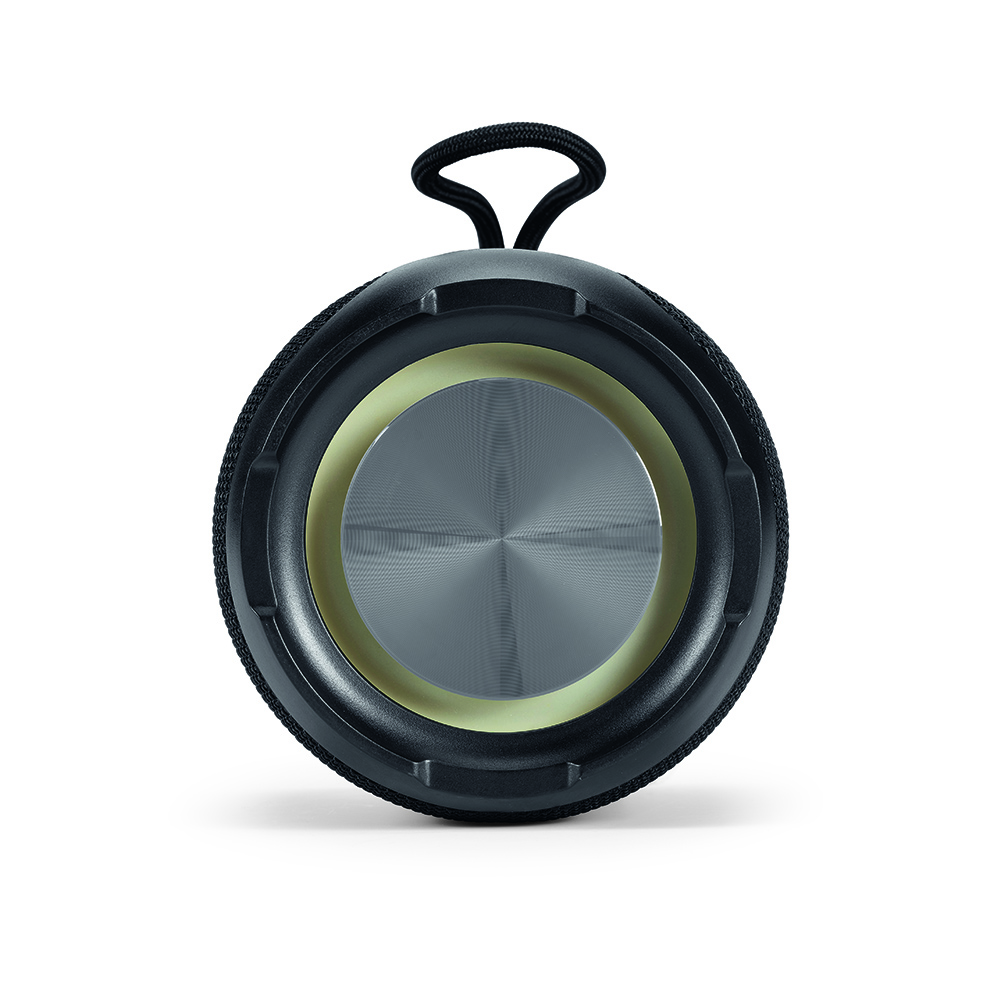 Avicenna Speaker