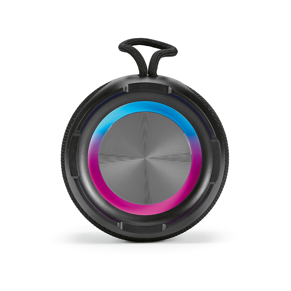 Avicenna Speaker