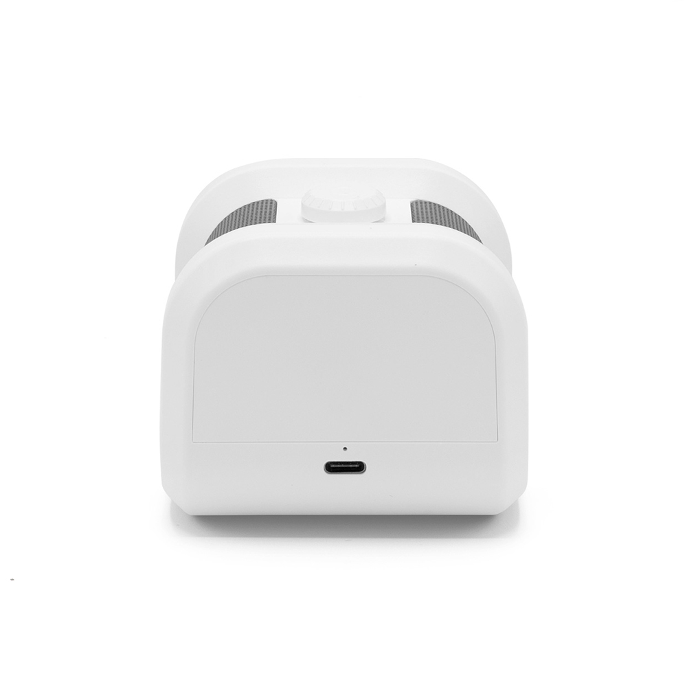 Boomz Speaker