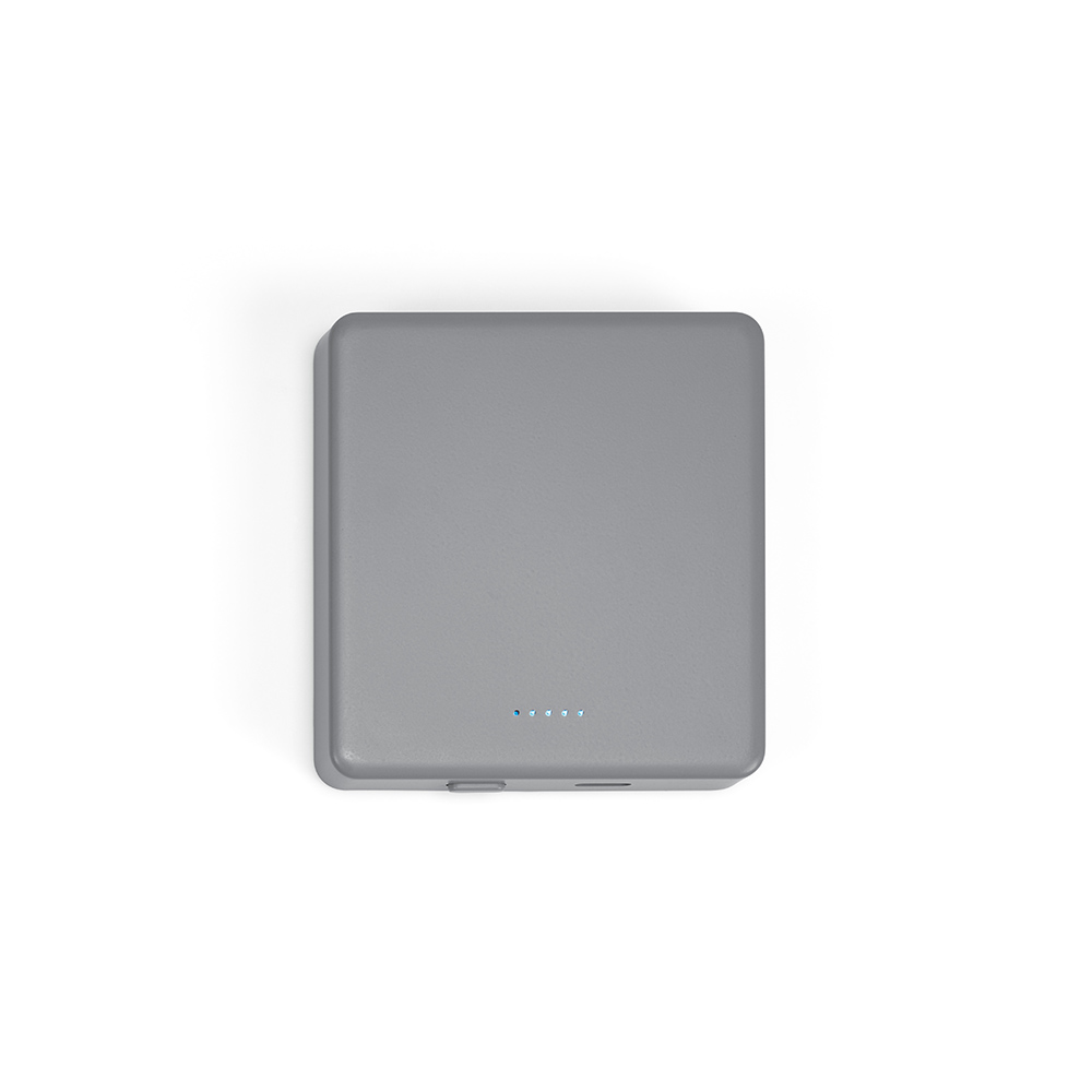 Mendel Powerbank