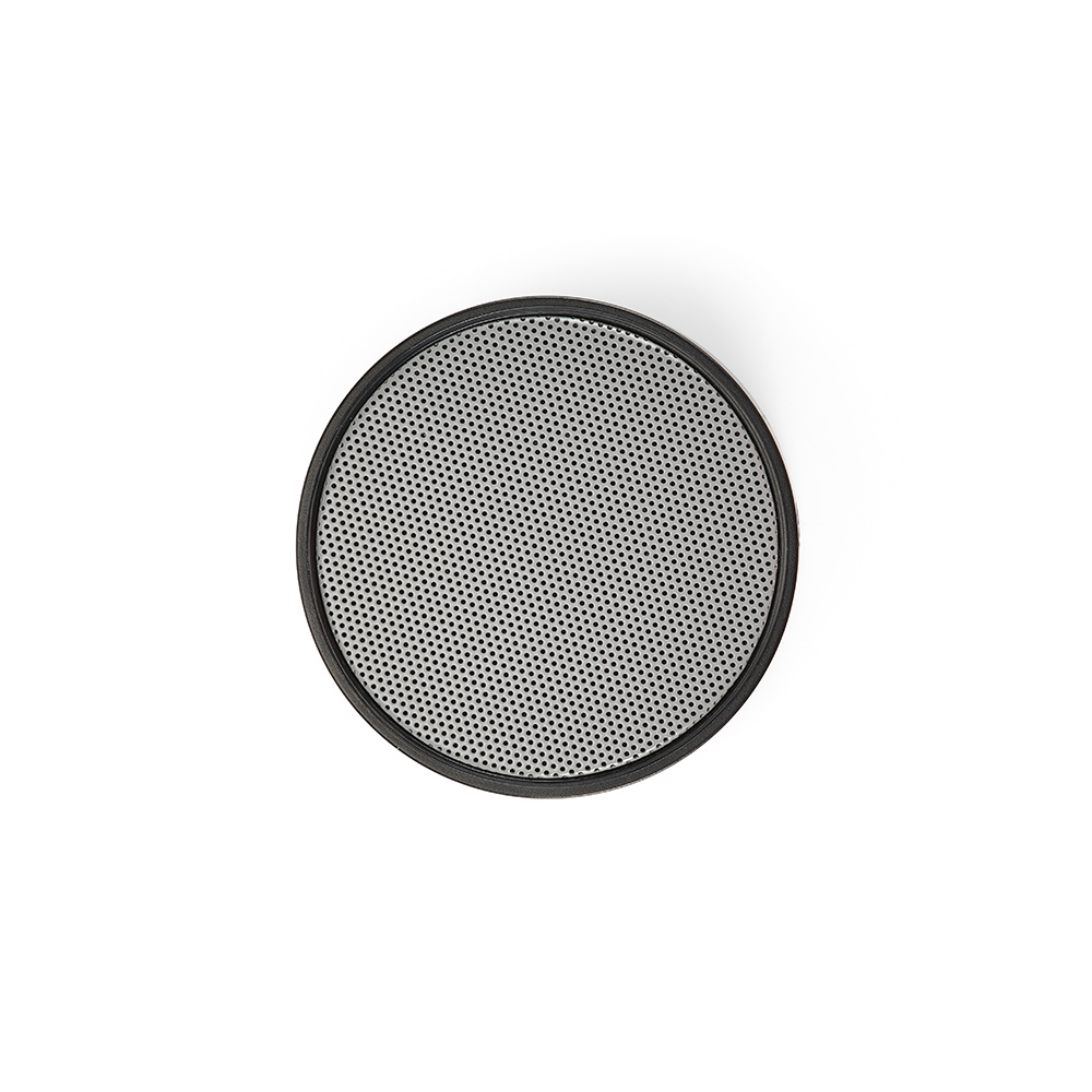 Gauss Speaker