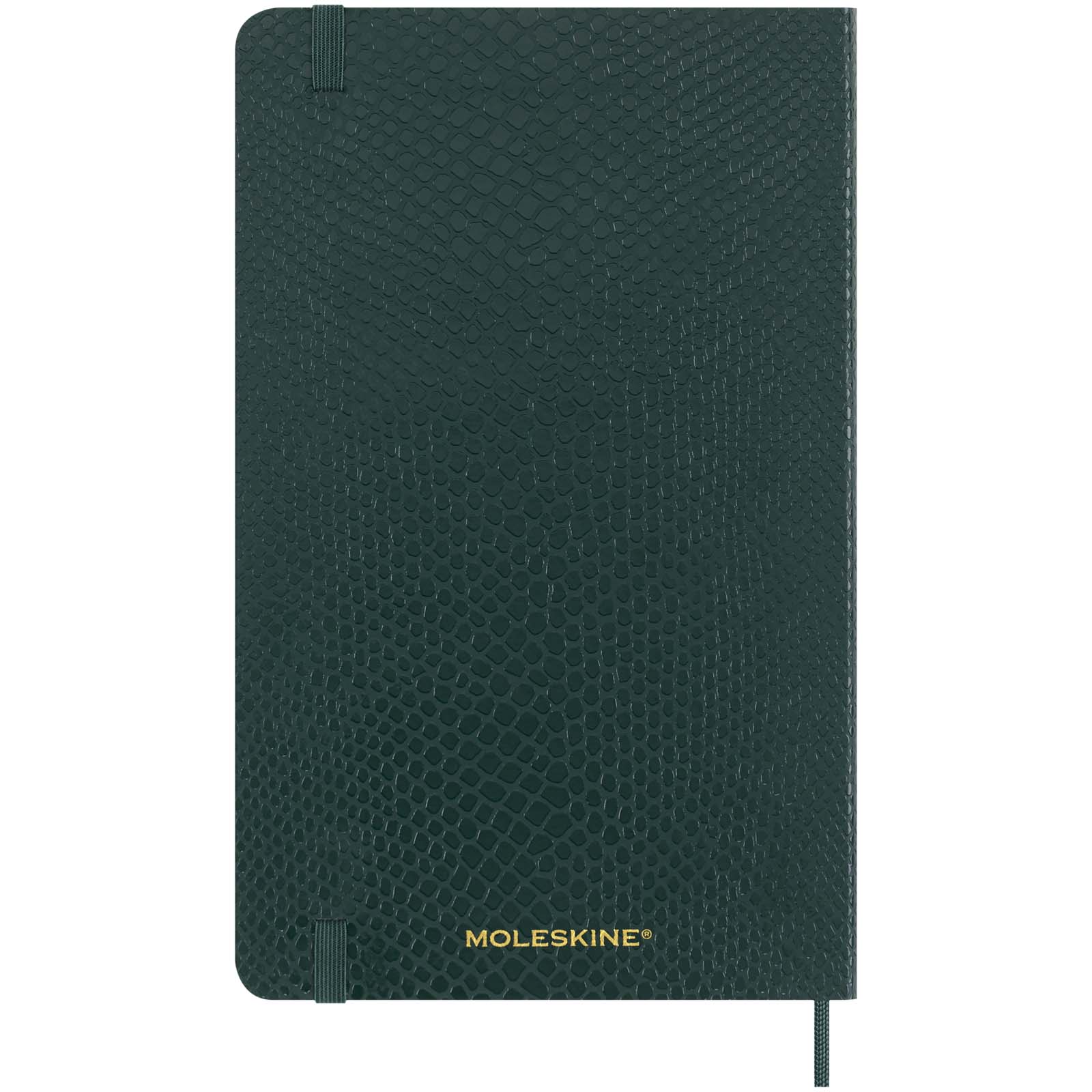 Libreta de tapa blanda L rayada Moleskine Vegea Boa
