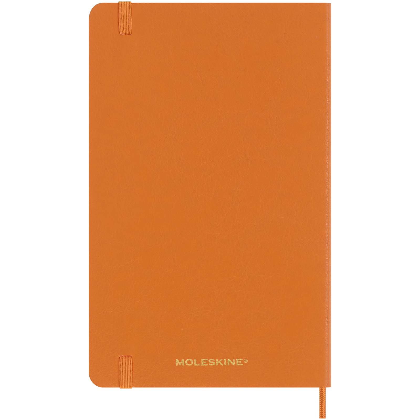 Libreta de tapa blanda L rayada Moleskine Vegea Capri