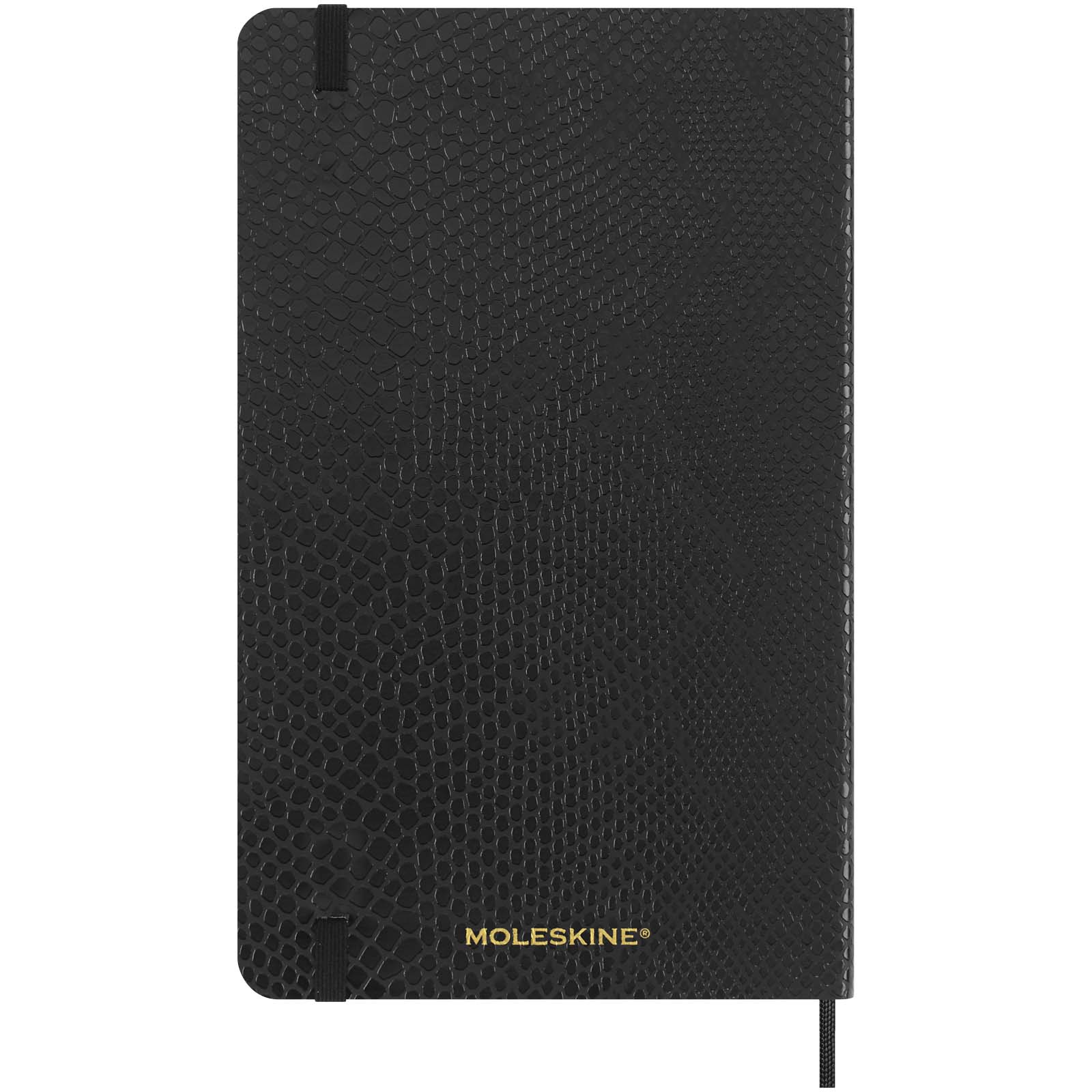 Libreta de tapa blanda L rayada Moleskine Vegea Boa