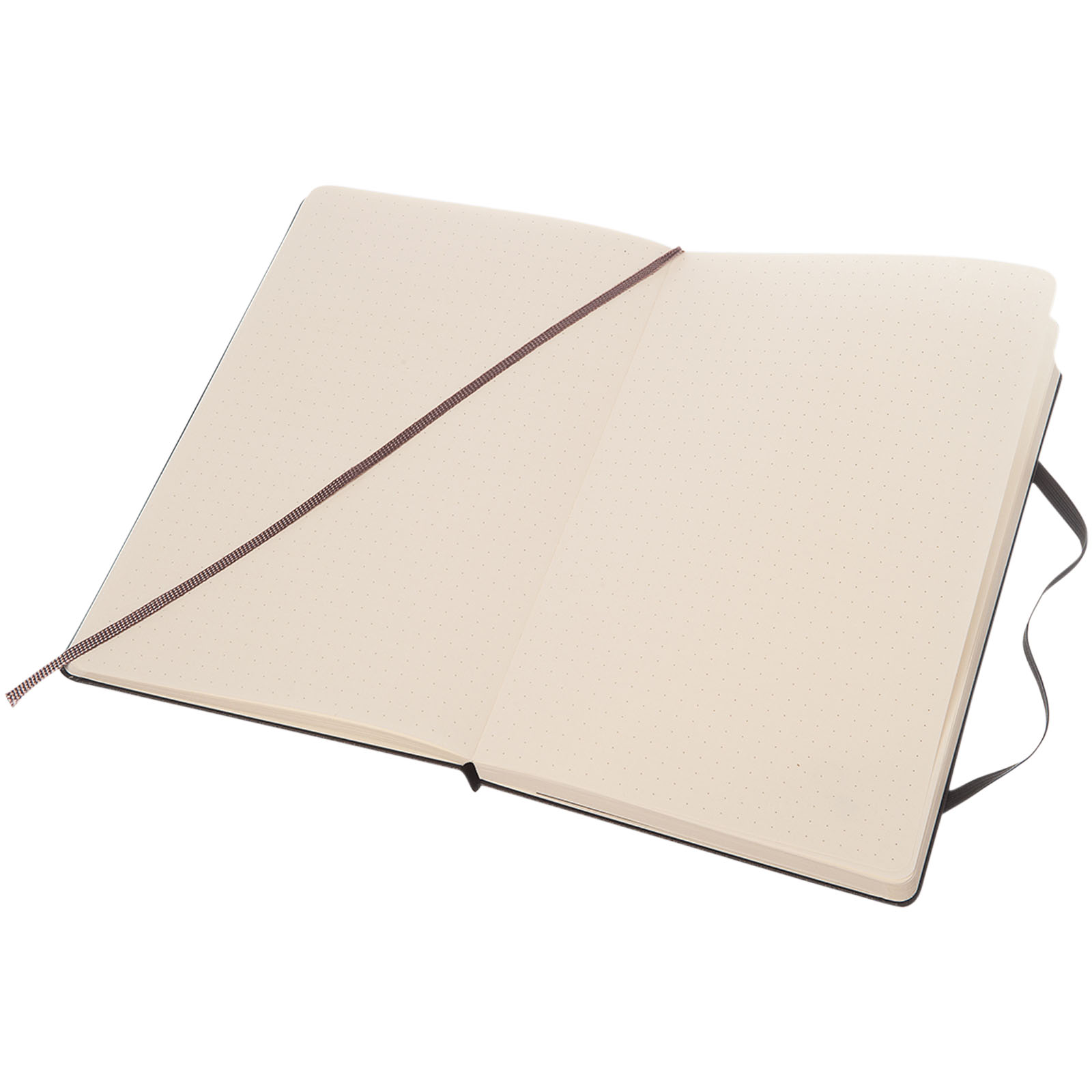 Libreta de tapa dura L punteada Classic