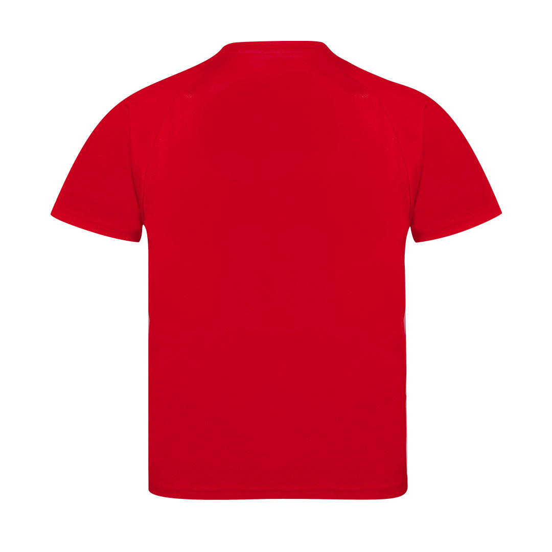 Camiseta Adulto Tecnic Sappor