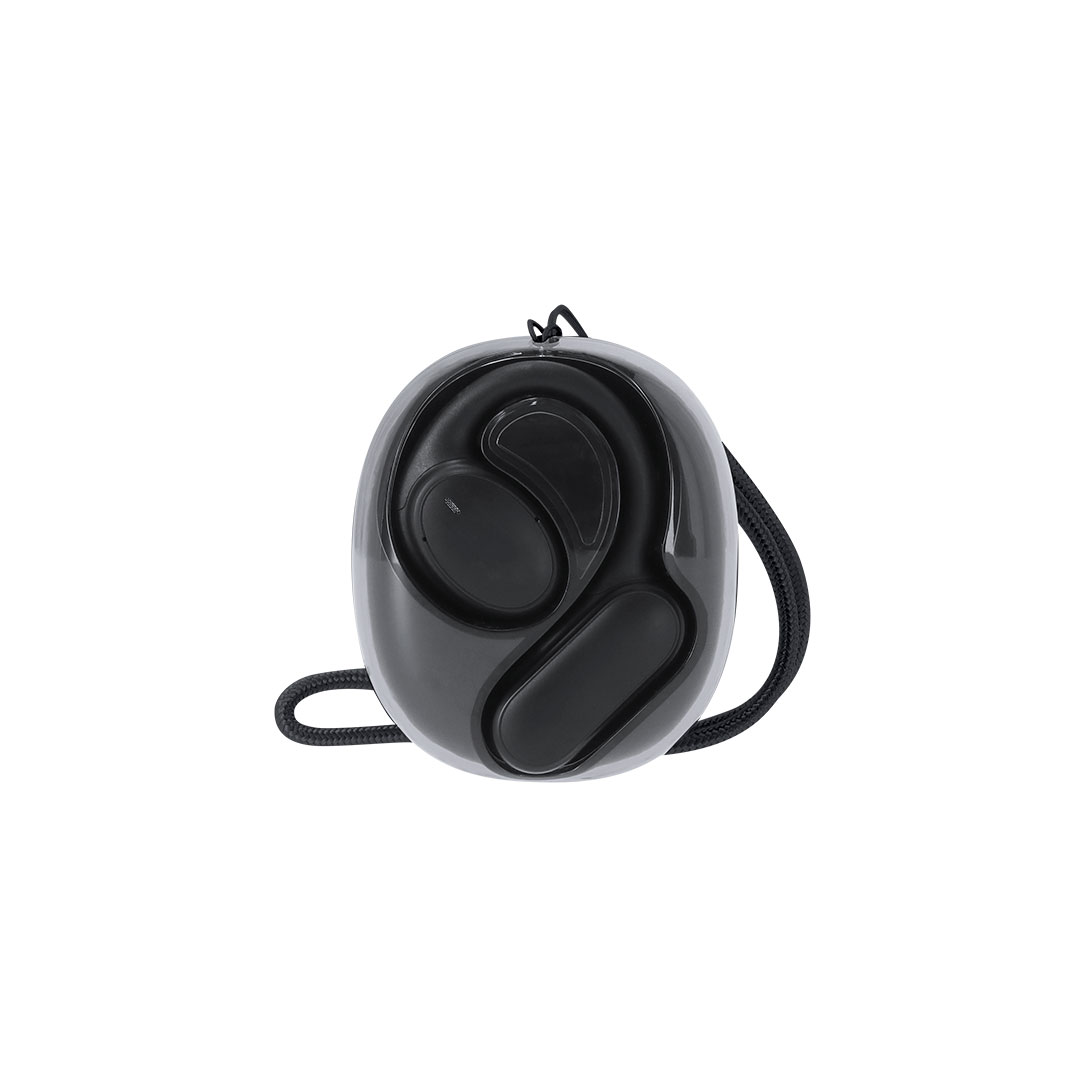 Translator Earbud Vixlan