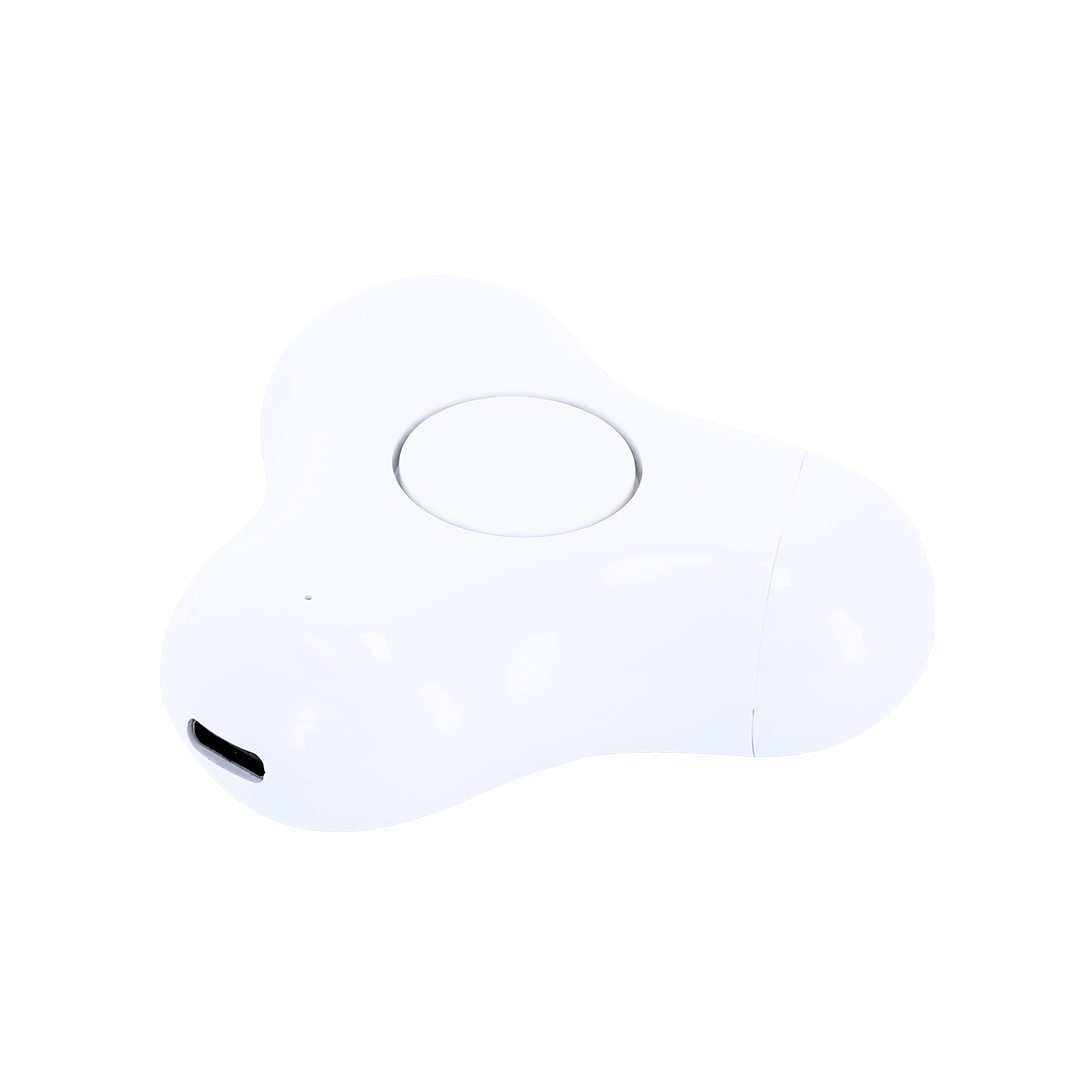 Earphones Levin