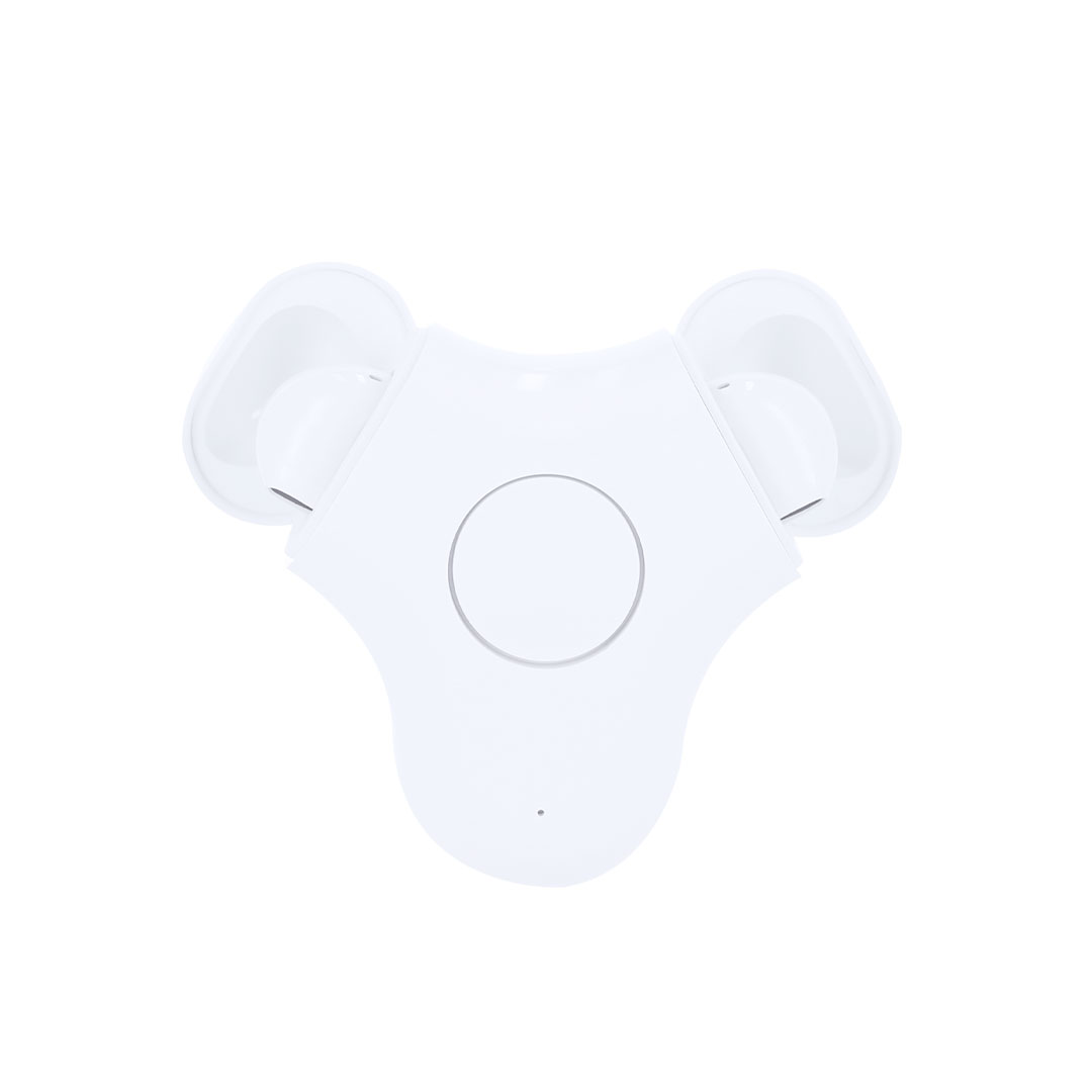 Earphones Levin