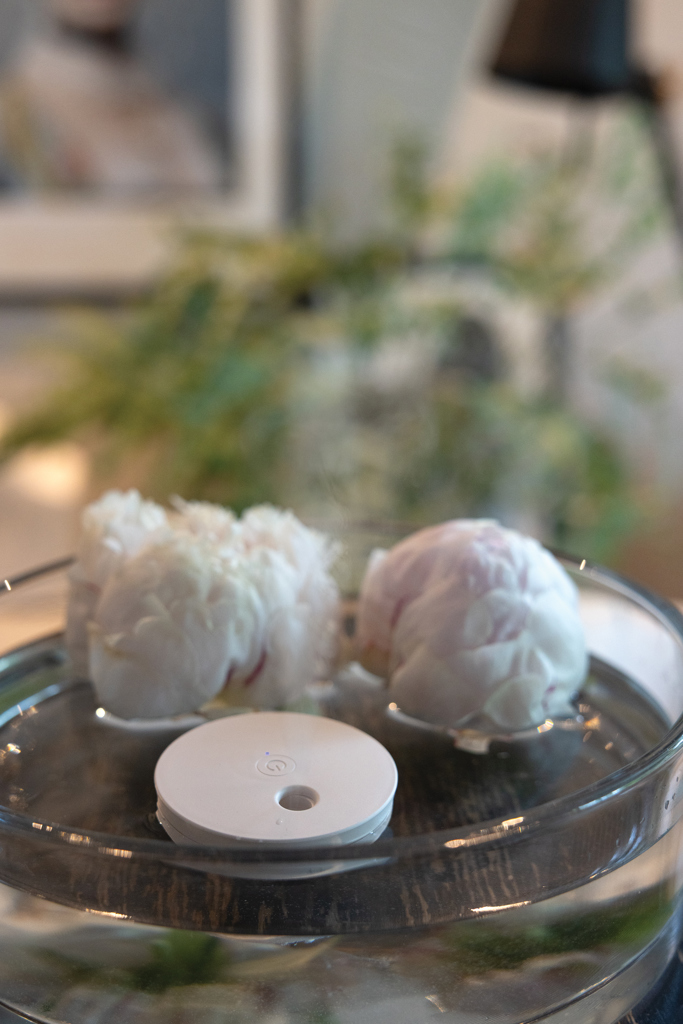 Humidificador flotante recargable Breevia RCS rplastic