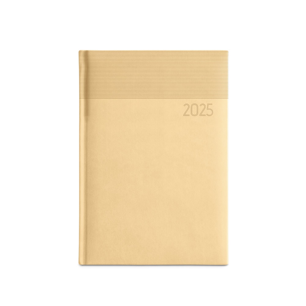 CARROLL A5. A5 Diary