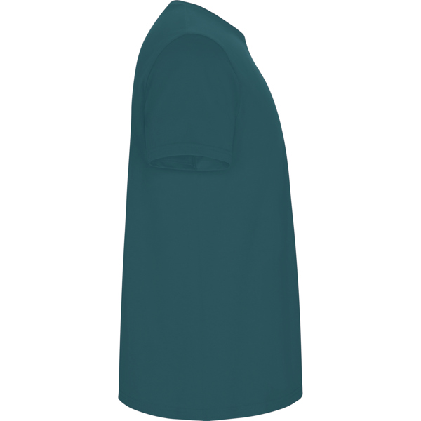 ROLY CAMISETA STAFFORD