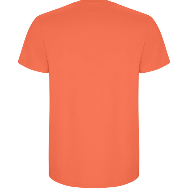 ROLY CAMISETA STAFFORD